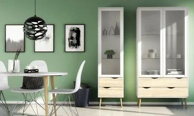 Witryna OSLO 2S4D - biały/dąb sonoma