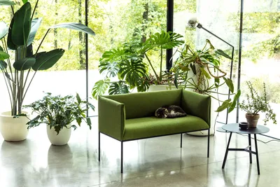 Sofa SHARP SO-L