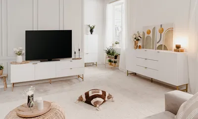 Szafka RTV 2-drzwiowa EDINBURGH 2 szuflady - biały mat