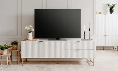 Szafka RTV 2-drzwiowa EDINBURGH 2 szuflady - biały mat