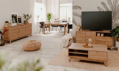 Szafka RTV 2-drzwiowa z szufladami BOOBANG - brązowy