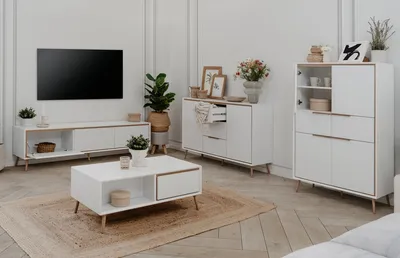 Szafka RTV 3-drzwiowa ARONA - biały
