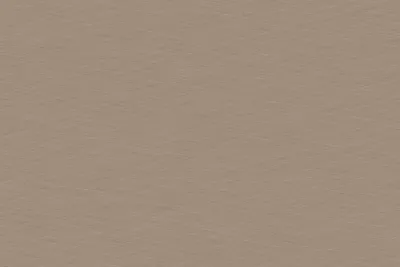Wycinek płyty w formacie 900 x 600 mm Obrzeże ABS F579 ST20 Metal siatkowany szampański 23 x 0.8 mm EGGER