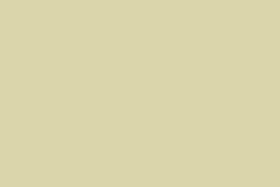 Wycinek płyty w formacie 900 x 600 mm Obrzeże ABS U617 ST9 Zieleń Wasabi 23 x 0.8 mm EGGER
