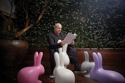 Krzesło RABBIT - fioletowy