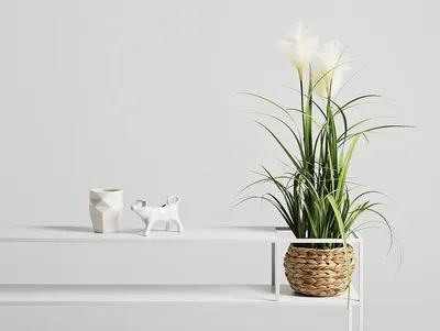 Konsola SENSO FLOWER 120 P - biały