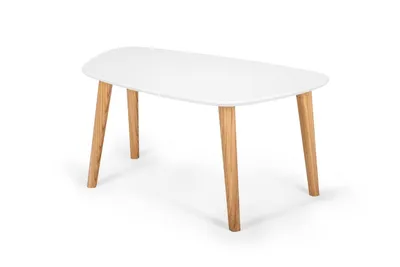 Stolik kawowy ENDOCARP 80x48x40 cm - biały
