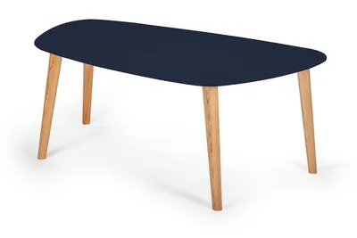 Stolik kawowy ENDOCARP 110x66x45 cm - granatowy