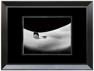 Obraz S702189 80x60