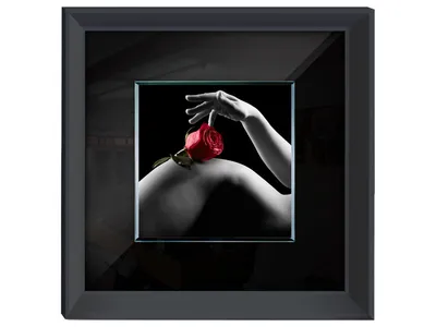 Obraz RÓŻA S70760 60x60