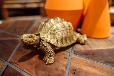 Figurka dekoracyjna TURTLE SMALL - złoty