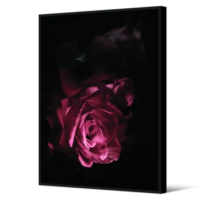 Obraz z różą nowoczesny TOIR25601 82x122 cm