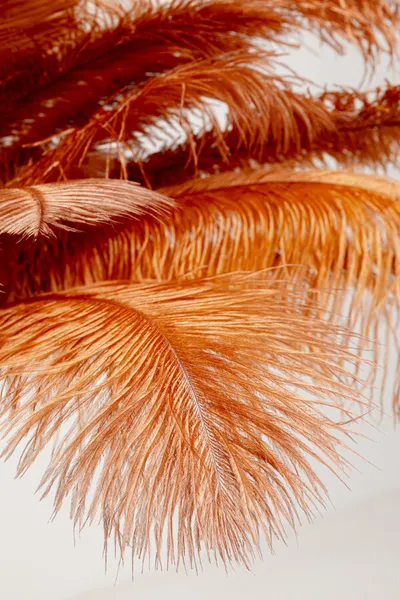 Lampa podłogowa FEATHER PALM - rdzawy/złoty