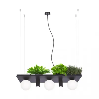 Lampa wisząca PLANT SHELF 5555 - czarny