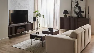 Szafka RTV 2-drzwiowa PIEMONTE PE-03 - jesion portland