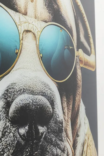 Obraz szklany FASHION DOG 60x80