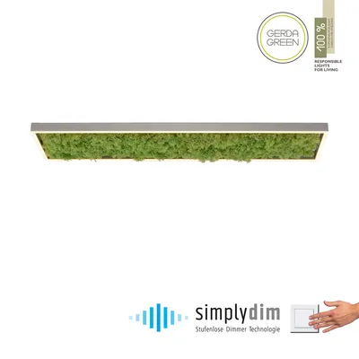 Lampa sufitowa GREEN KNUT 15623-66 - czarny/mech