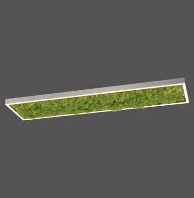 Lampa sufitowa GREEN KNUT 15623-66 - czarny/mech