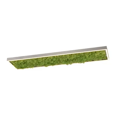 Lampa sufitowa GREEN KNUT 15623-66 - czarny/mech