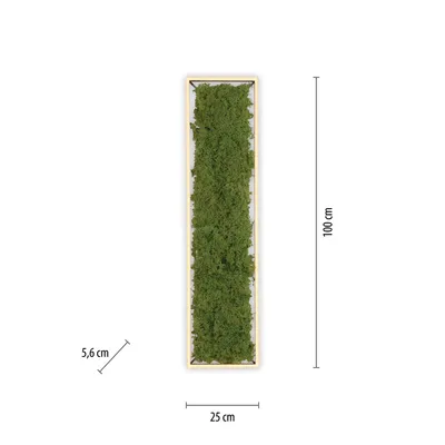 Lampa sufitowa GREEN KNUT 15623-66 - czarny/mech