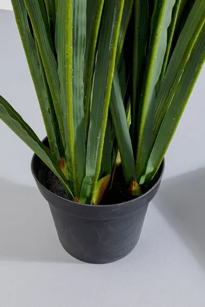 Roślina sztuczna RHYNCHOSTYLIS 150 cm