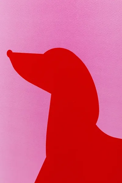 Obraz 2-elementowy DOG FRANKIE 30x40