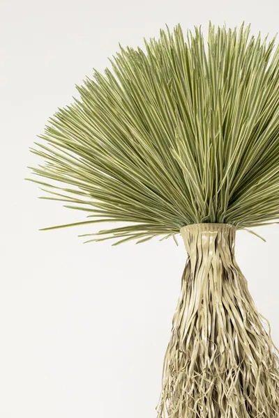 Roślina sztuczna wysoka YUCCA ROSTRATA 240 cm