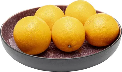 Miska ALISSA 23 cm 600 ml - czerwony/czarny