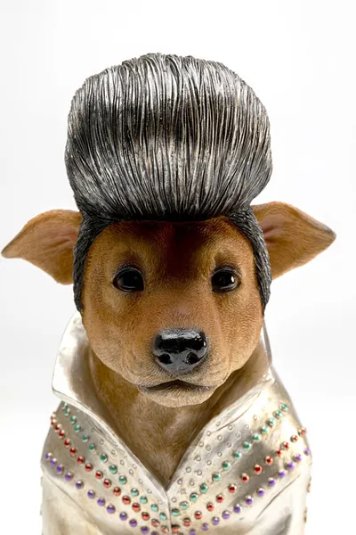 Skarbonka KING DOG - brązowy/srebrny
