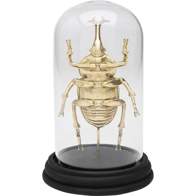 Dekoracja HERCULES BEETLE - transparentny/złoty