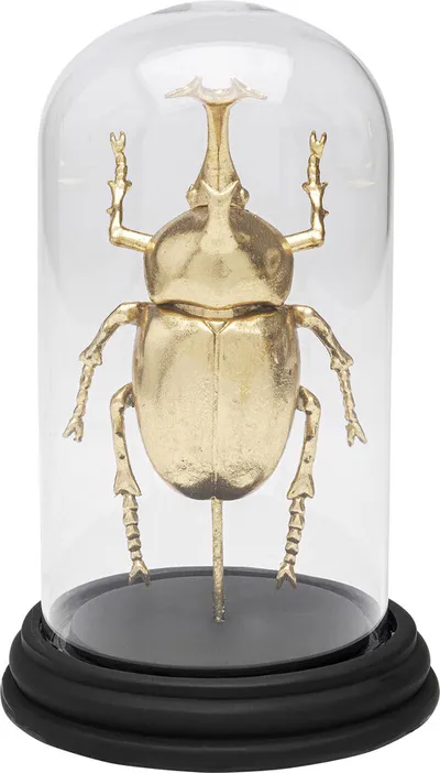 Dekoracja HERCULES BEETLE - transparentny/złoty