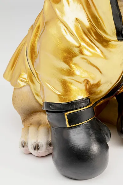 Skarbonka BOXING DOG - złoty/czarny