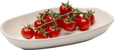 Półmisek ORGANIC 25x16 - kremowy