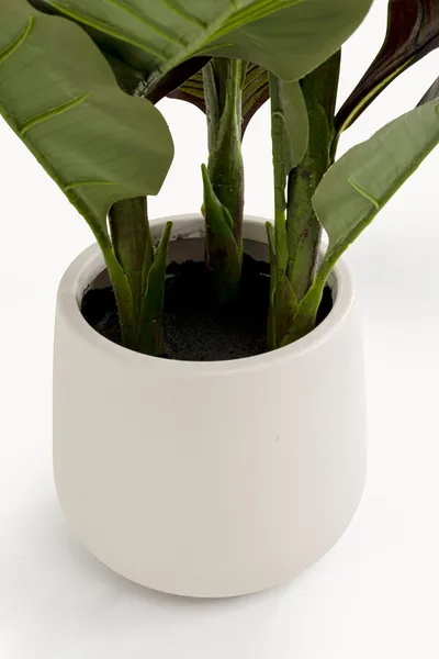 Roślina sztuczna CANNA LILY 165 cm