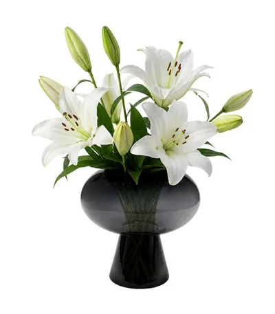 Wazon DIVINE 30 cm - czarny