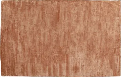 Dywan COSY 200x300 - brązowy