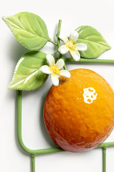 Wieszak ścienny CITRUS - zielony/żółty