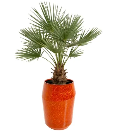 Donica CALI 67 cm - pomarańczowy