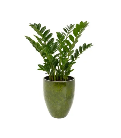 Donica CALI 58 cm - zielony