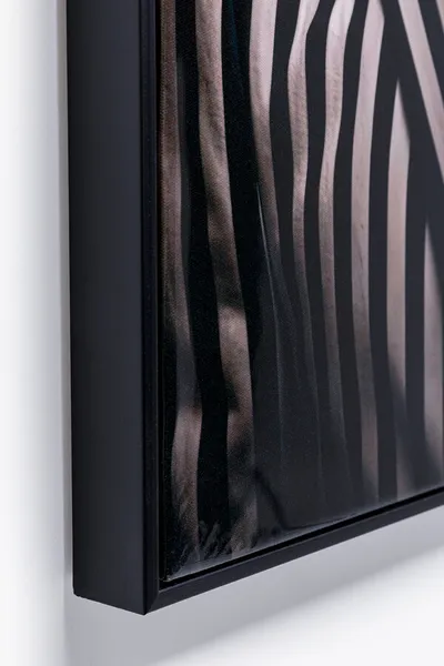 Obraz MISTER ZEBRA 50x70