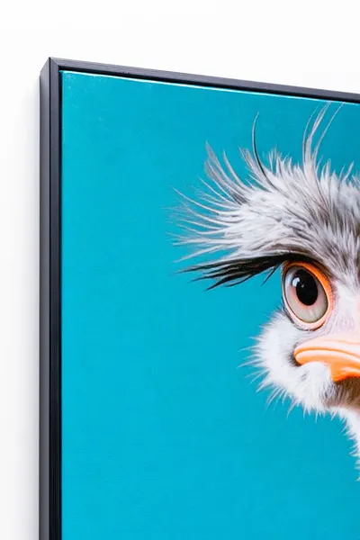 Obraz MISTER OSTRICH 45x60
