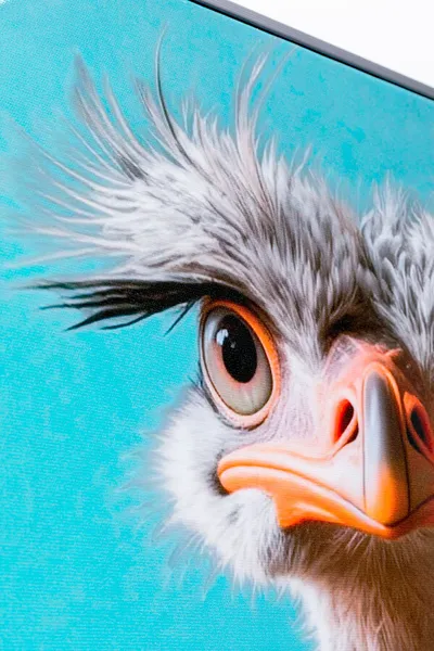 Obraz MISTER OSTRICH 45x60