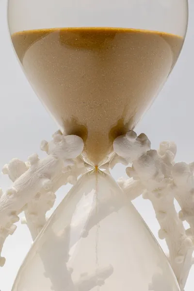 Klepsydra TIME FLIES 25 cm - biały