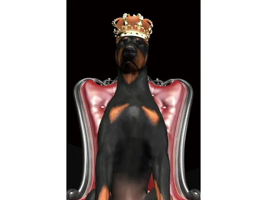 Obraz na szkle DOG IN CROWN 80x120