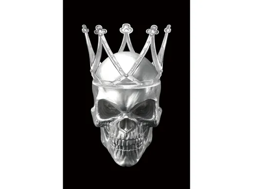 Obraz na szkle SKULL II 80x120