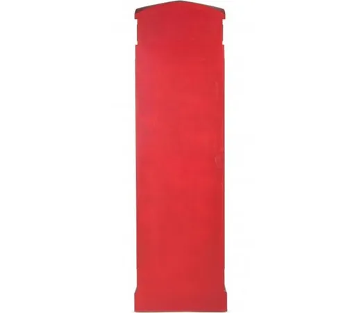Witryna RED