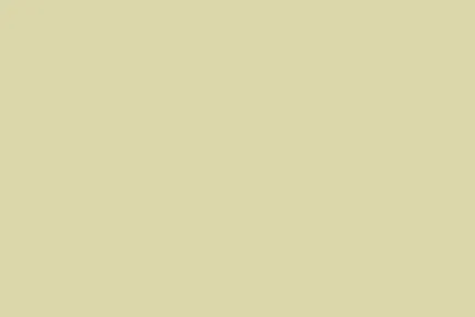 Wycinek płyty w formacie 900 x 600 mm Obrzeże ABS U617 ST9 Zieleń Wasabi 23 x 0.8 mm EGGER