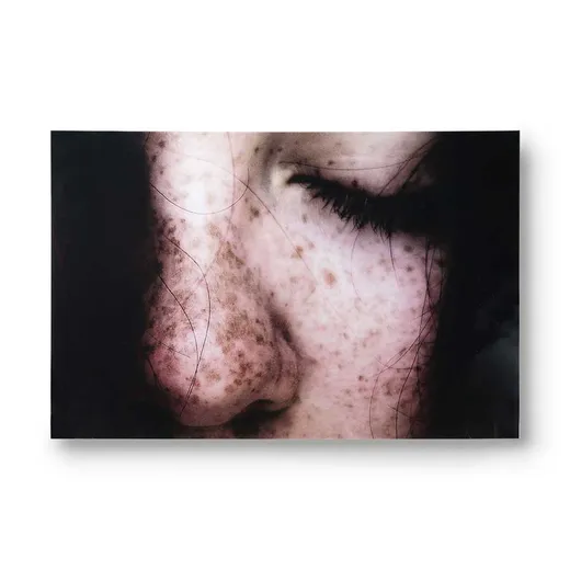 Plakat FRECKLES 100x66