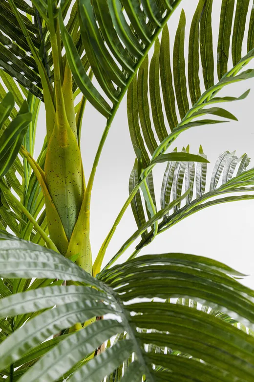 Roślina dekoracyjna PALM TREE 190