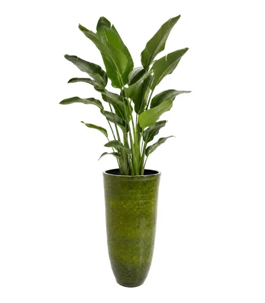 Donica CALI 105 cm - zielony